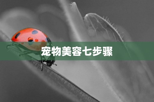 寵物美容七步驟