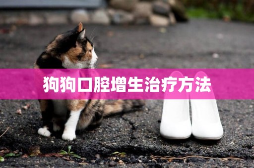 狗狗口腔增生治療方法