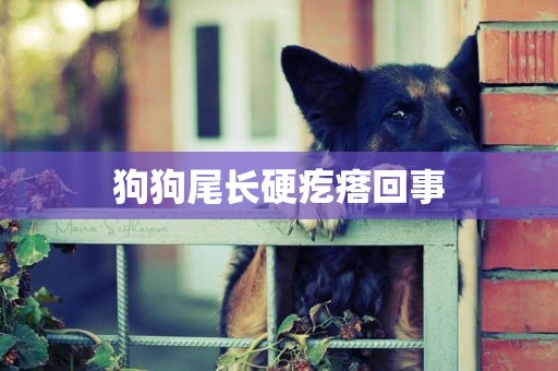 狗狗尾長硬疙瘩回事