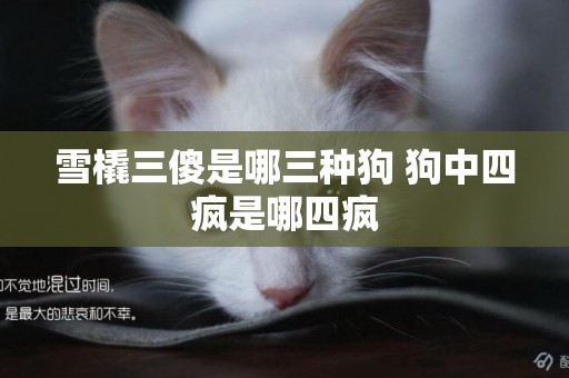 雪橇三傻是哪三種狗 狗中四瘋是哪四瘋
