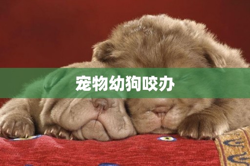 寵物幼狗咬辦