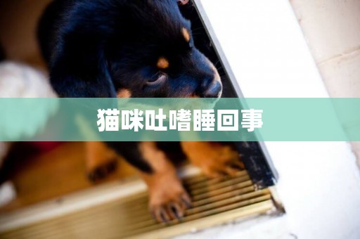 貓咪吐嗜睡回事