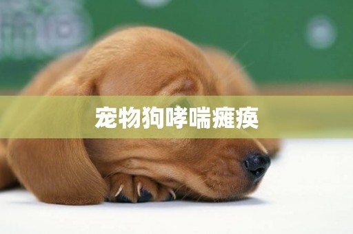 寵物狗哮喘癱瘓