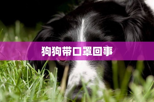 狗狗帶口罩回事