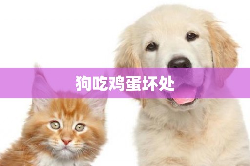 狗吃雞蛋壞處