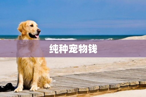 純種寵物錢