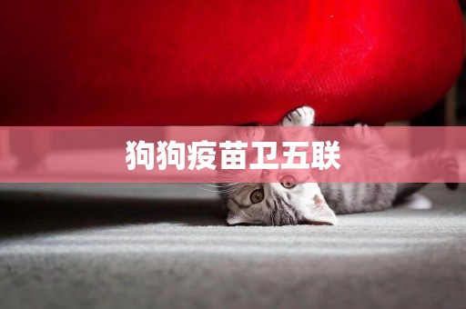 狗狗疫苗衛五聯