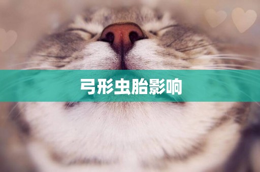 弓形蟲胎影響