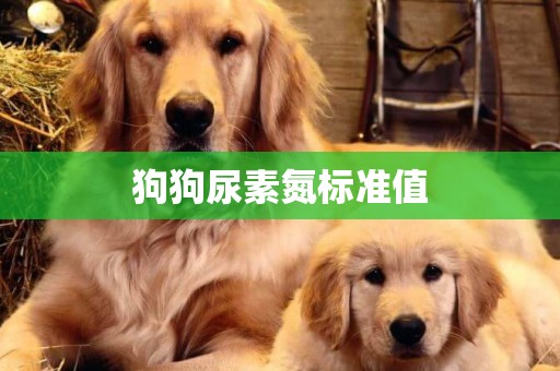狗狗尿素氮標準值