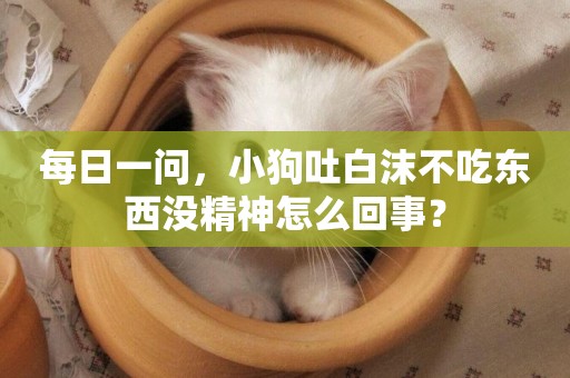 每日一問，小狗吐白沫不吃東西沒精神怎么回事？