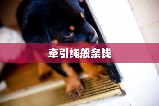 牽引繩般條錢