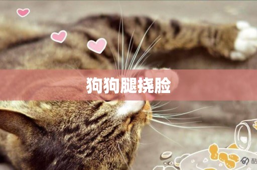 狗狗腿撓臉