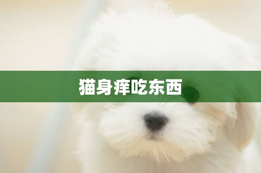 貓身癢吃東西