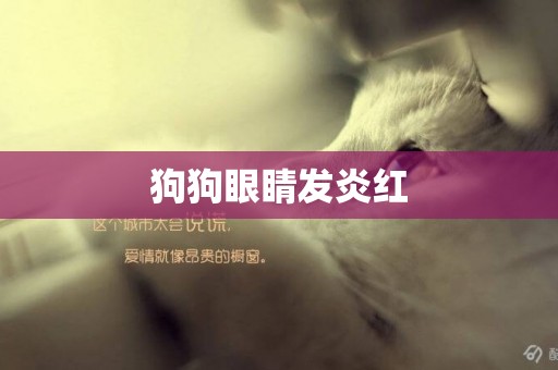 狗狗眼睛發炎紅