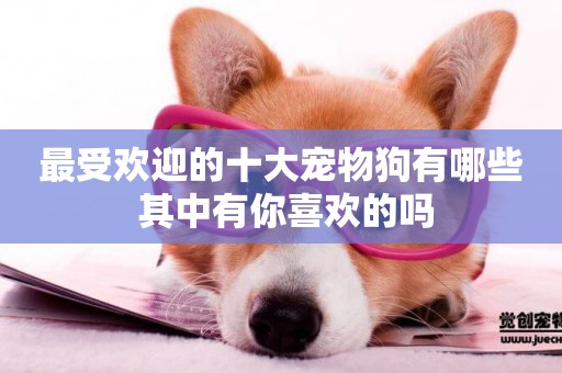 最受歡迎的十大寵物狗有哪些 其中有你喜歡的嗎