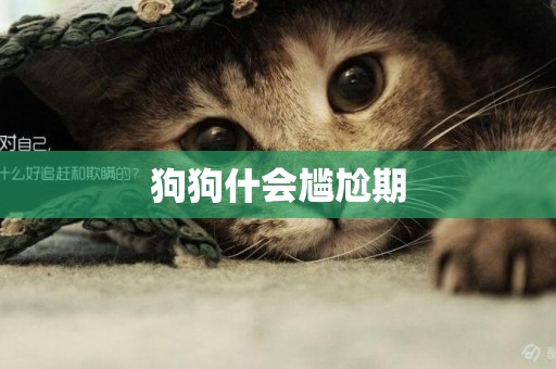 狗狗什會尷尬期