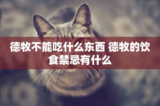 德牧不能吃什么東西 德牧的飲食禁忌有什么
