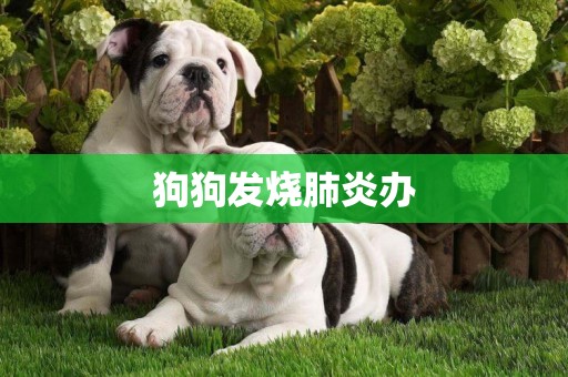 狗狗發燒肺炎辦