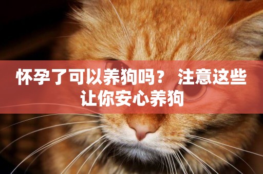 懷孕了可以養狗嗎？ 注意這些讓你安心養狗