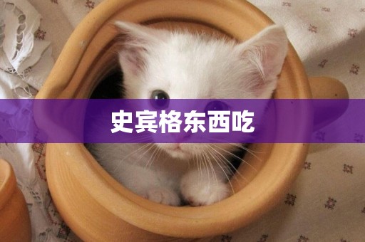 史賓格東西吃