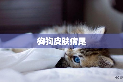 狗狗皮膚病尾