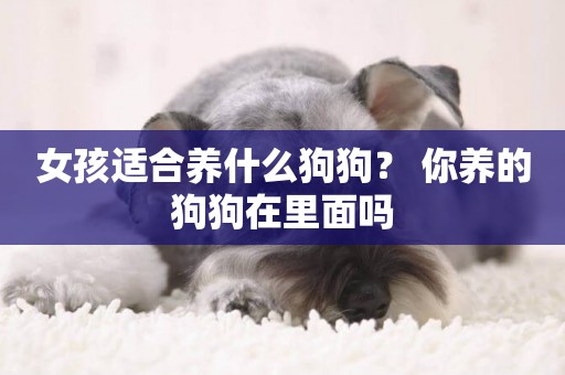女孩適合養什么狗狗？ 你養的狗狗在里面嗎