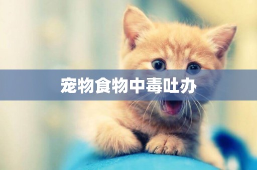 寵物食物中毒吐辦