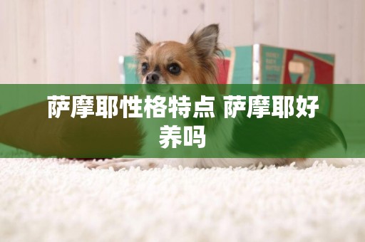 薩摩耶性格特點 薩摩耶好養嗎