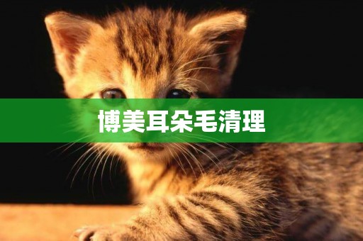 博美耳朵毛清理