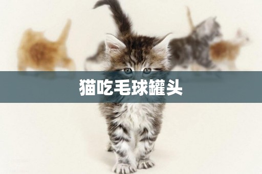 貓吃毛球罐頭
