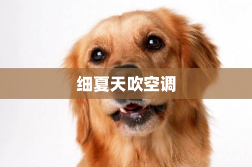 細夏天吹空調