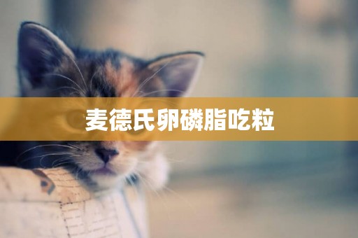 麥德氏卵磷脂吃粒
