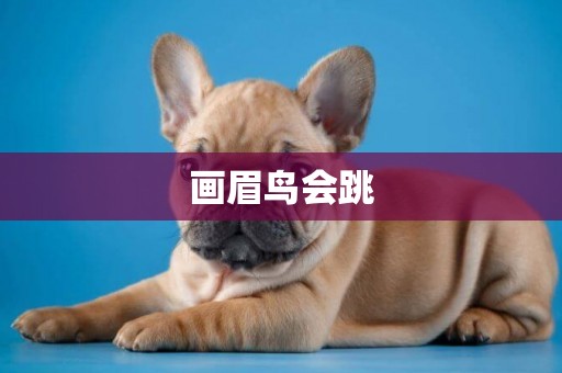 畫眉鳥會跳