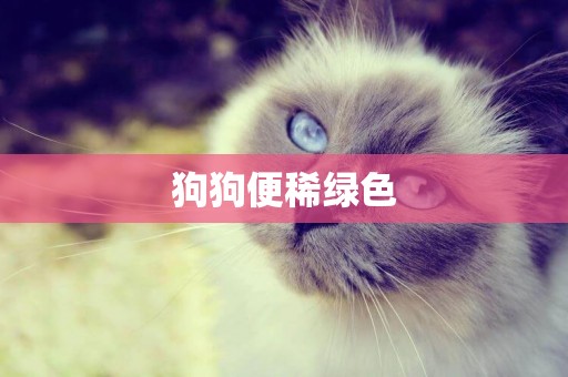狗狗便稀綠色