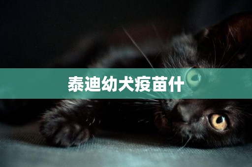 泰迪幼犬疫苗什