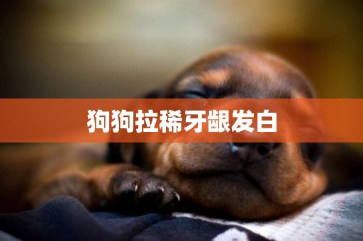 狗狗拉稀牙齦發白