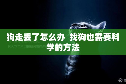 狗走丟了怎么辦  找狗也需要科學的方法
