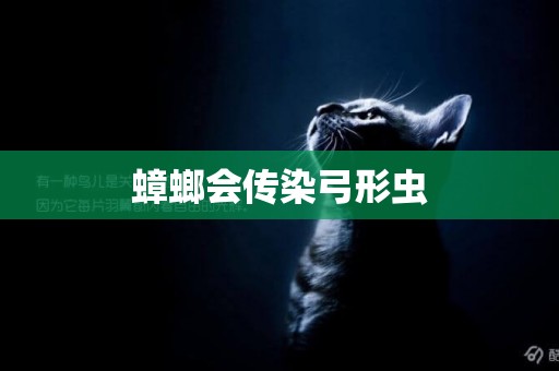 蟑螂會傳染弓形蟲