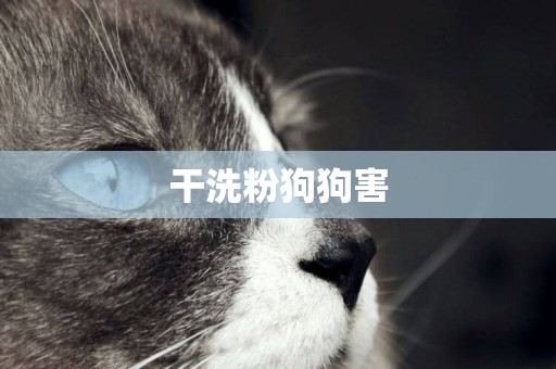 干洗粉狗狗害