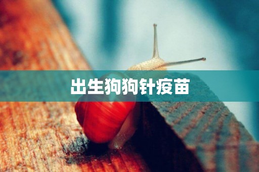 出生狗狗針疫苗