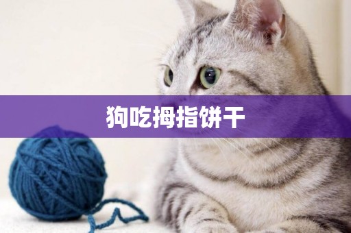 狗吃拇指餅干