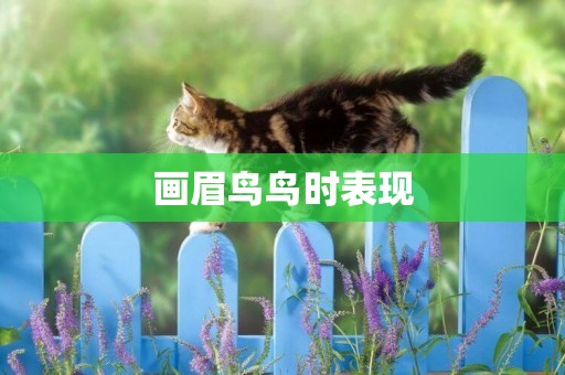 畫眉鳥鳥時表現