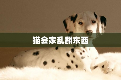 貓會家亂翻東西