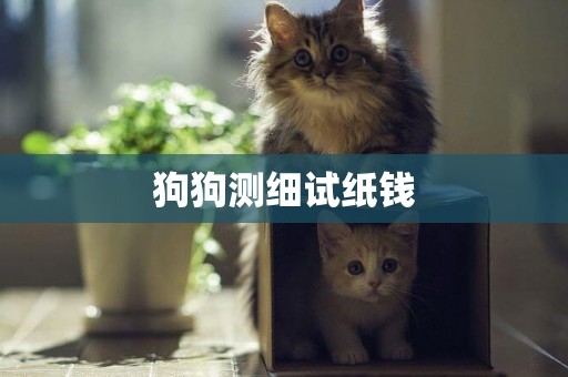 狗狗測細試紙錢