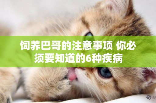 飼養巴哥的注意事項 你必須要知道的6種疾病