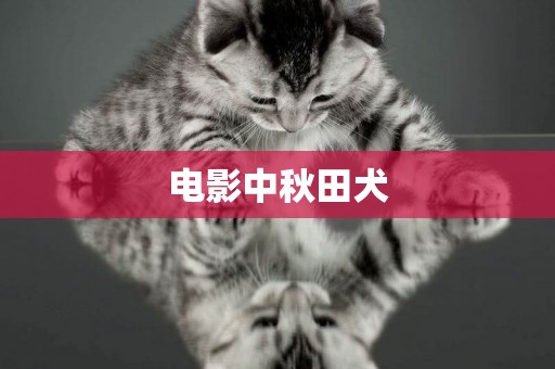 電影中秋田犬