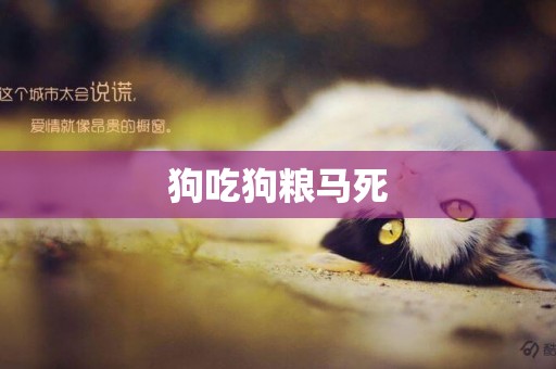 狗吃狗糧馬死