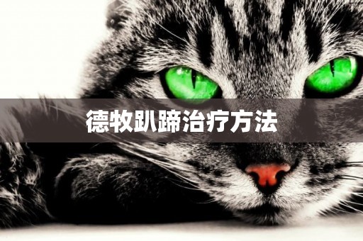 德牧趴蹄治療方法