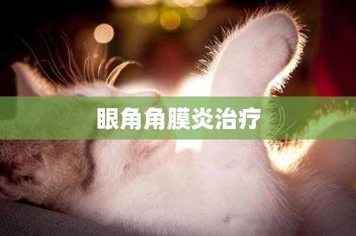 眼角角膜炎治療
