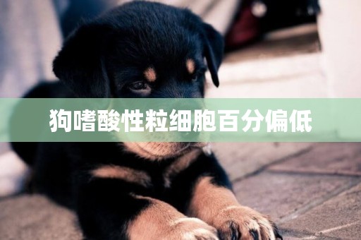 狗嗜酸性粒細胞百分偏低